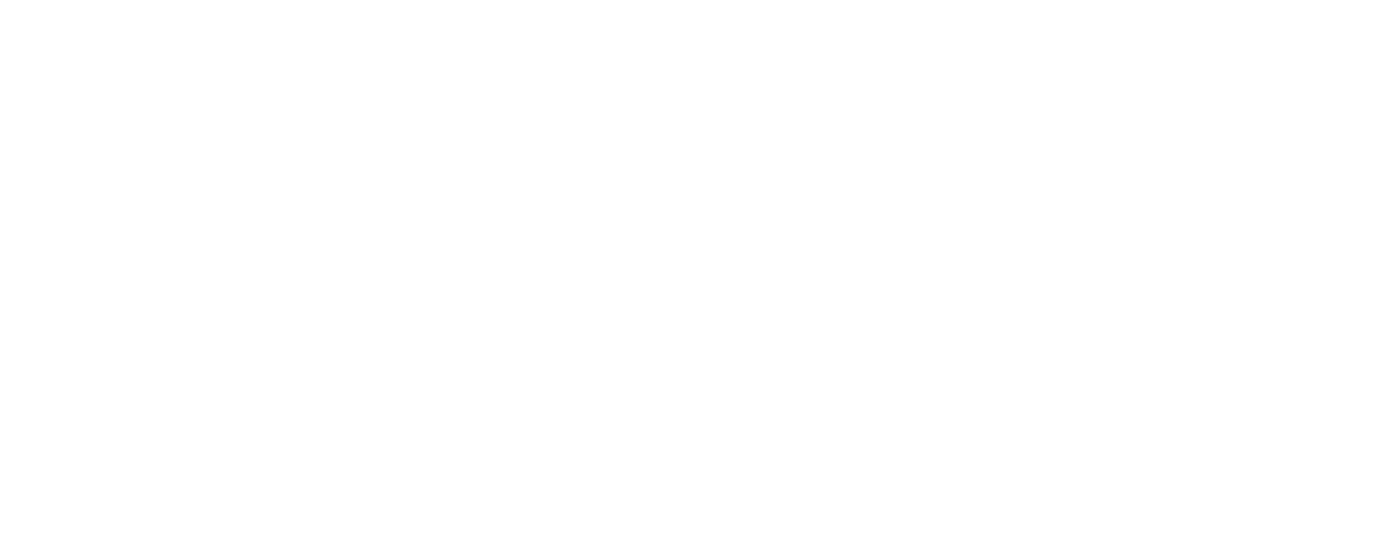 Dr. Stefanie Meier-Kreiskott